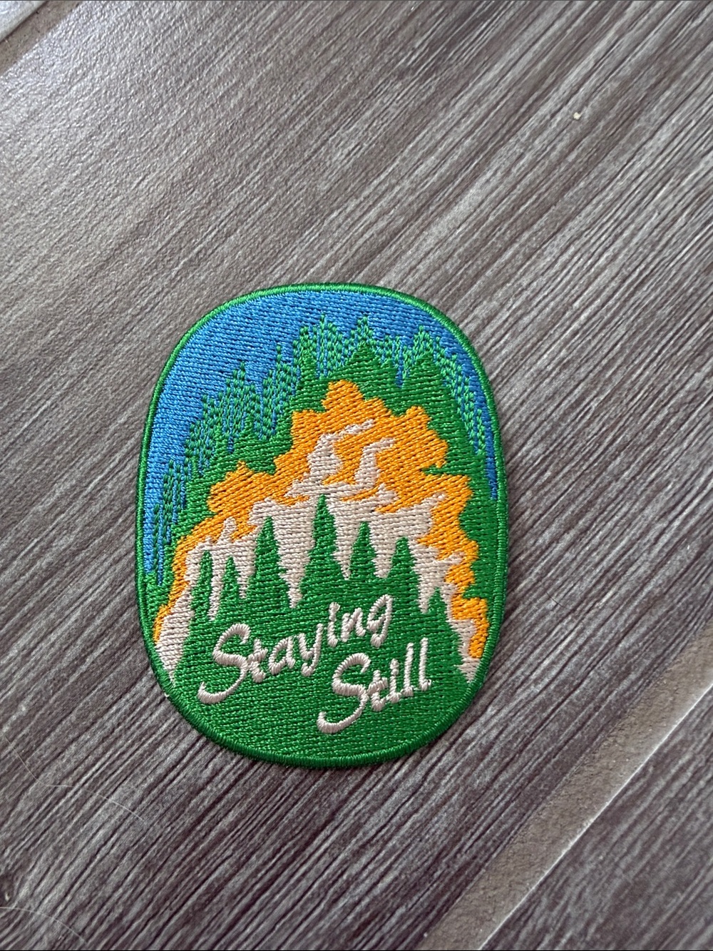 Official Staying Still Embroidered iron on Patch - Green/Blue/Orange NWOT
